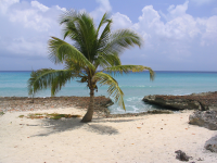 Cayman Islands Beach