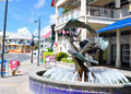 Cayman Highlights & Downtown Shopping Tour