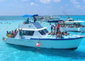 Island Tour & Stingray Adventure